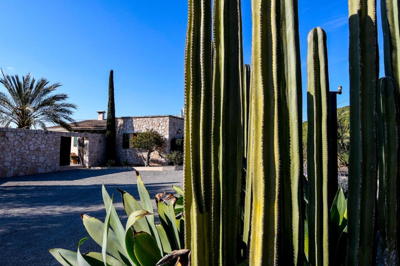 Moderne Finca Can Vicento - Heizung - Pizzaofen Porto Cristo Buitenkant foto